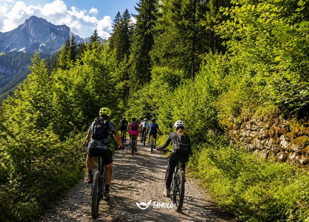 Famolo - E-bike Team Tour: esperienza aziendale nella Val di Sole