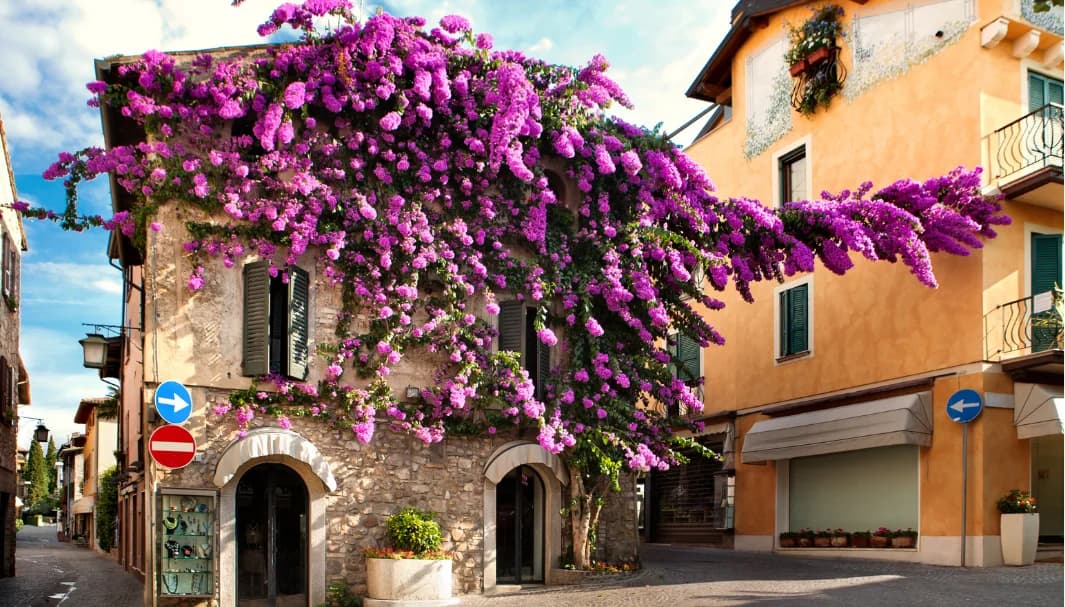 Terme di Sirmione: storia, acqua termale, benefici e trattamenti