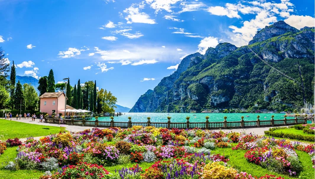 Cosa cresce lungo le sponde del Lago di Garda? Guida alla flora, agli alberi e alle piante tipiche