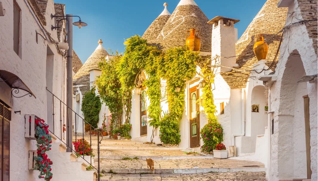 Le luminarie della Puglia: storia, tradizione e luoghi dove vivere uno degli spettacoli più affascinanti d'Italia