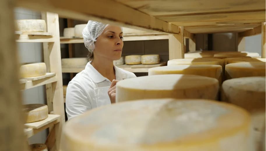 Mungitura e produzione del formaggio: vivi un giorno da pastore in fattoria